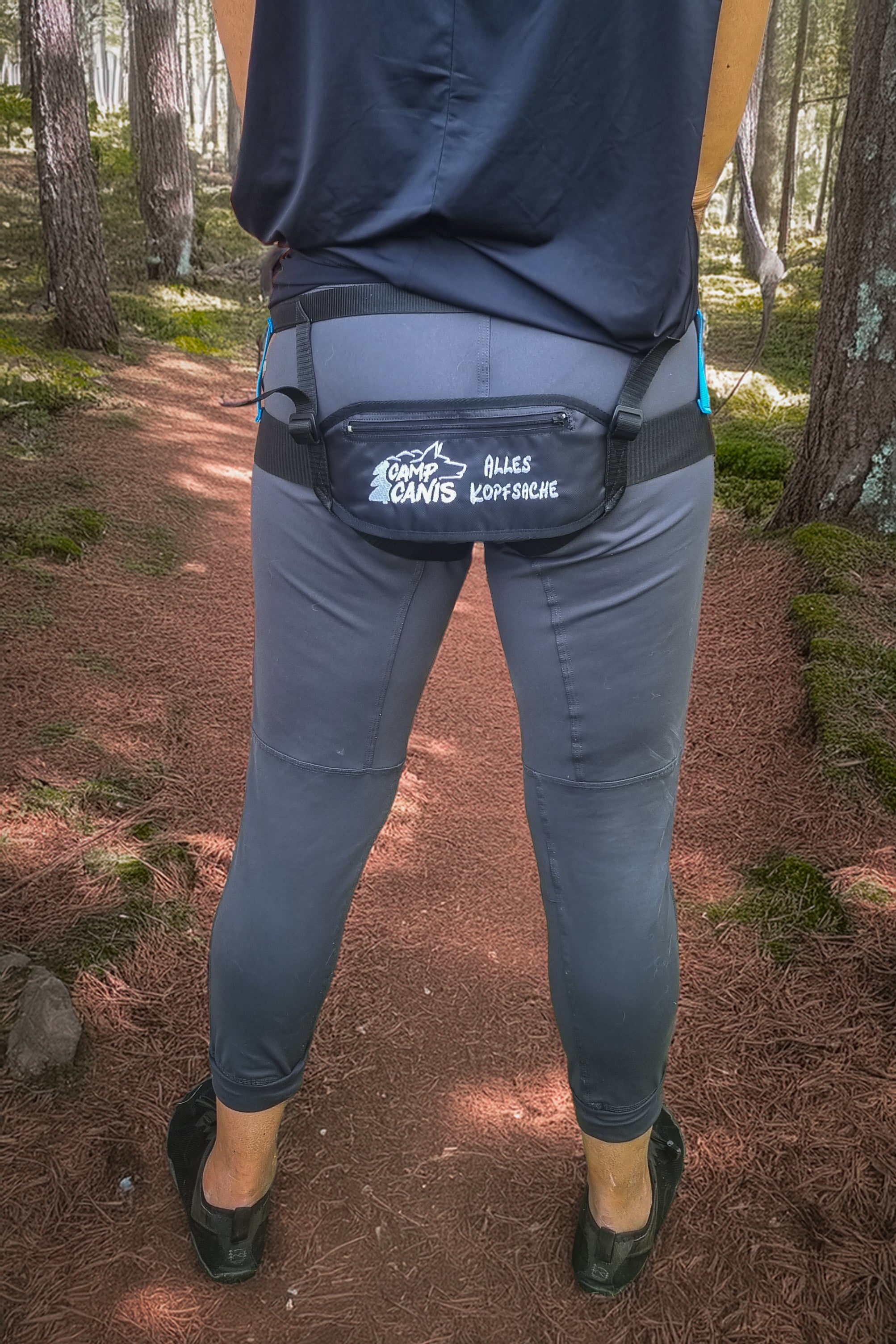 Laufgurt
