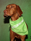 Hundehalstuch