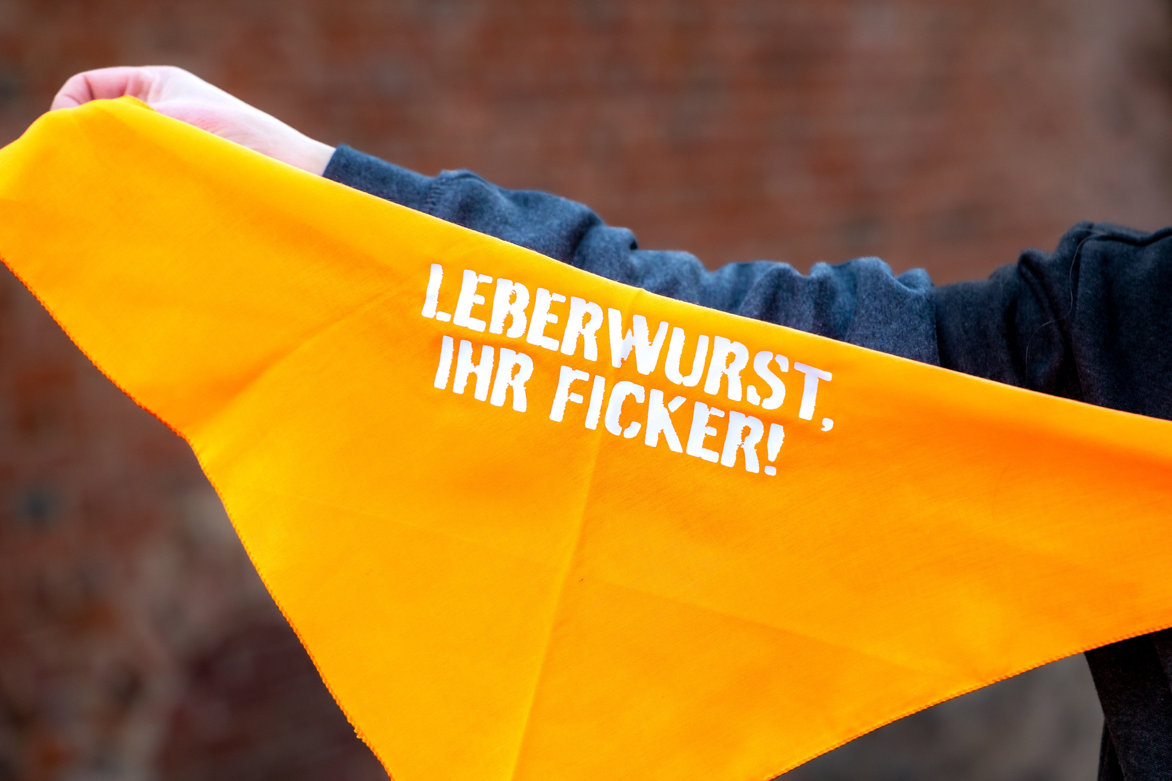 Hundehalstuch